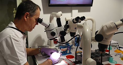 conservative rehabilitation of tooth