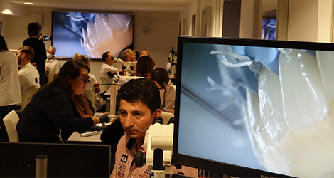 conservative rehabilitation of tooth