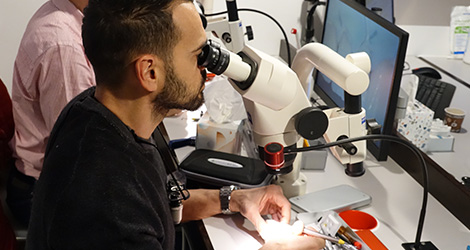 conservative rehabilitation of tooth