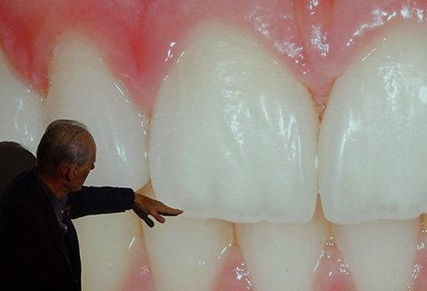 Edudent International Pro