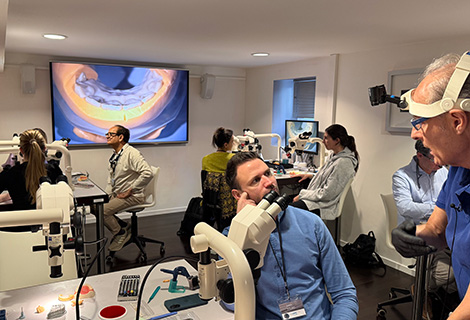 Edudent International Pro