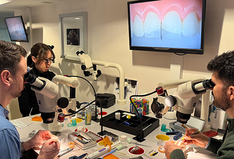 Edudent International Pro