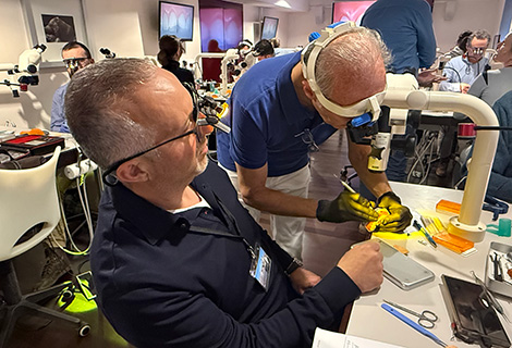 Edudent International Pro