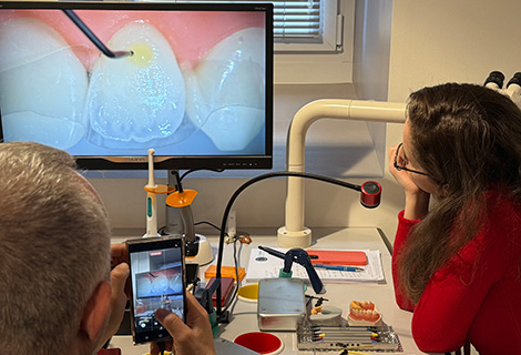 Edudent International Pro