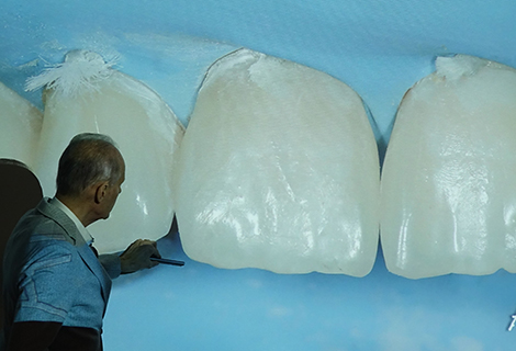 Edudent International Pro