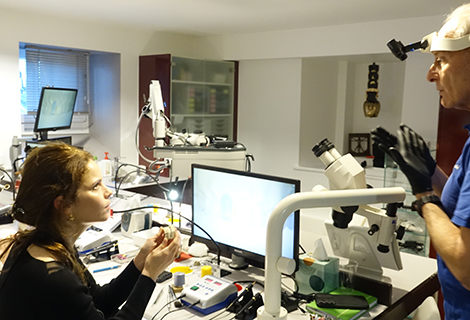 Edudent International Pro