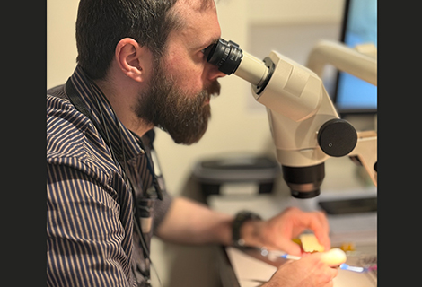 Edudent International Pro