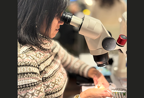 Edudent International Pro