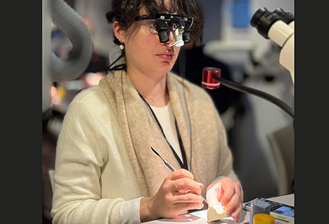 Edudent International Pro