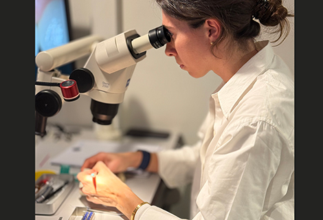 Edudent International Pro