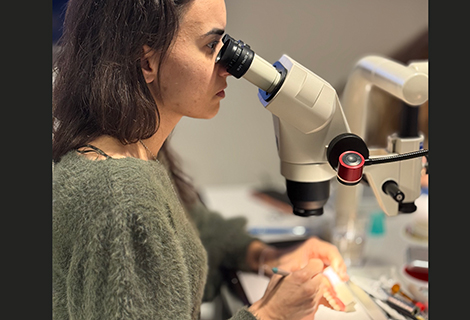 Edudent International Pro