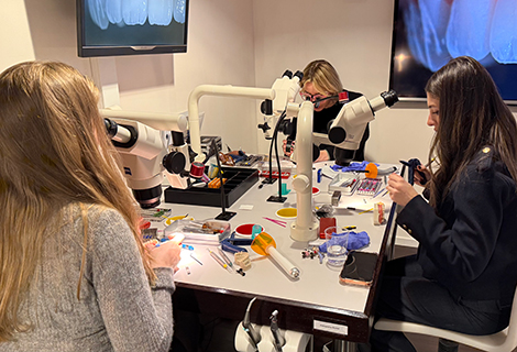 Edudent International Pro