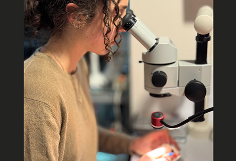 Edudent International Pro