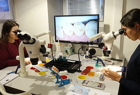 Edudent International Pro