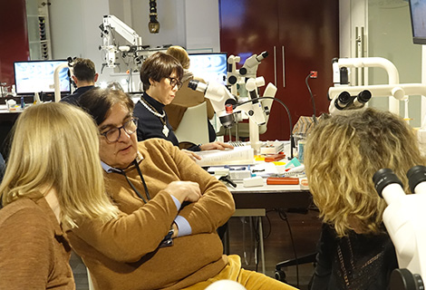 Edudent International Pro