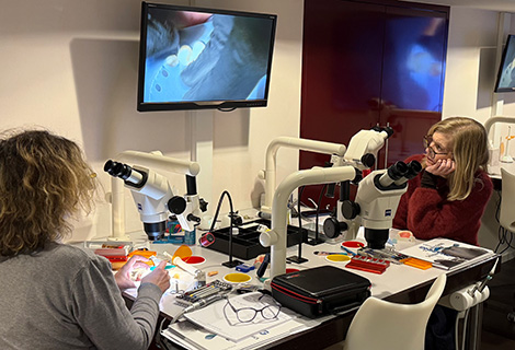 Edudent International Pro