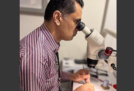 Edudent International Pro