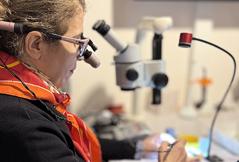 Edudent International Pro