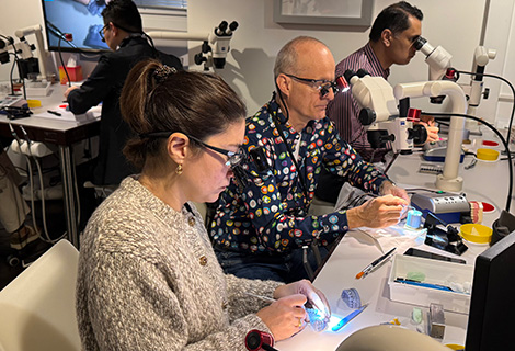 Edudent International Pro