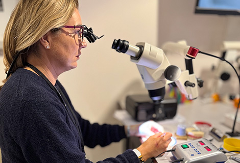 Edudent International Pro