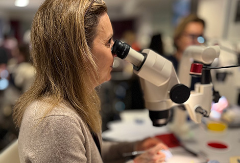 Edudent International Pro