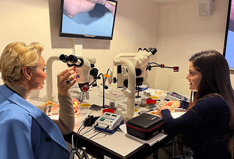 Edudent International Pro